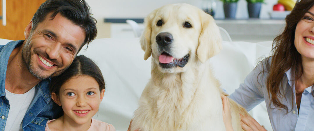 Air Purifiers: How UV Light Can Help Keep Your Air Clean